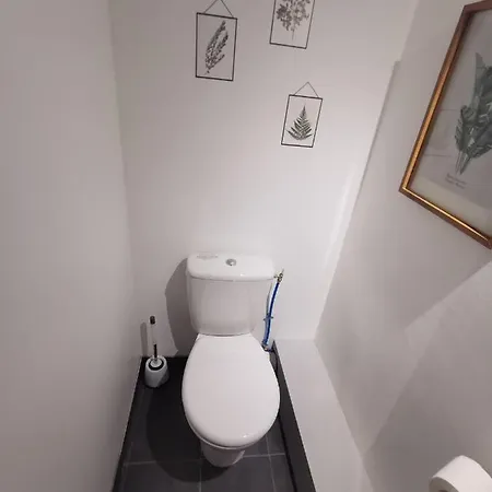 5004 Neptuna 66c * Agde